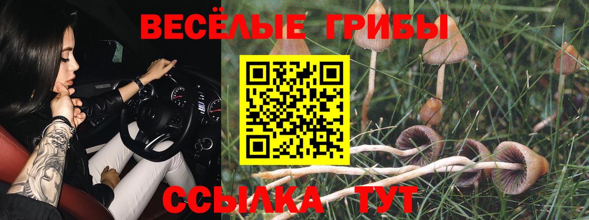 COCAIN Рубцовск